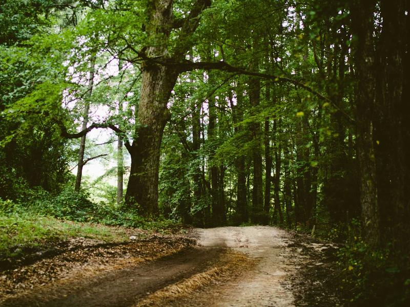 sudoku logic solving screenshot 3